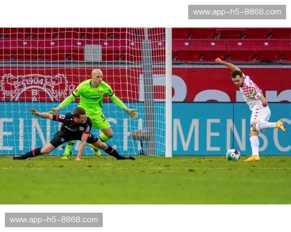 狂热黄黑对决不屈绿白：当威悉河的晚风遇见多特蒙德的青春风暴