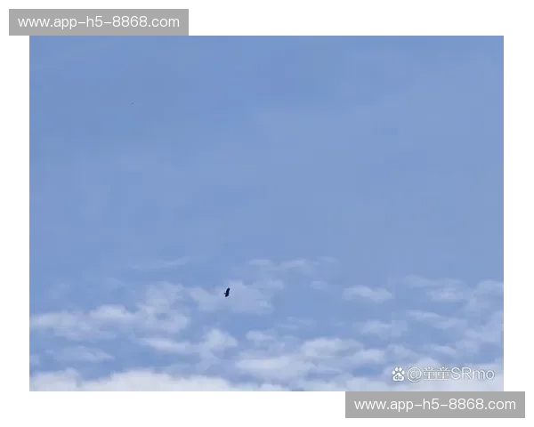 2017：自由在风暴中绽放，探索心灵的无限可能